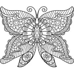 Mandala borboleta 1