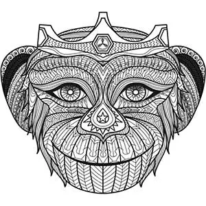 Mandala macaco
