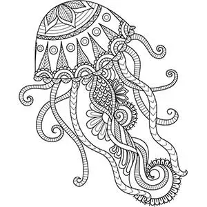 Mandala medusa